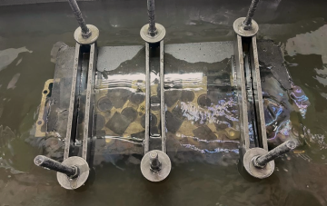 f2783b00-0039-4685-81c4-9f0ce271dd03 f2783b00-0039-4685-81c4-9f0ce271dd03